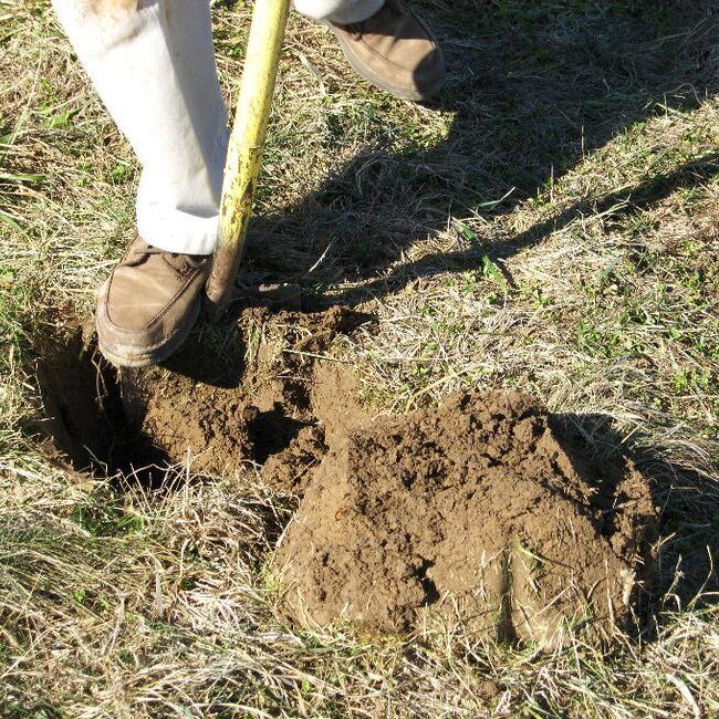Digging a Hole 2