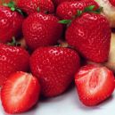 View this product for details about its characteristics and for care and maintenance instructions. EarliGlo Strawberry