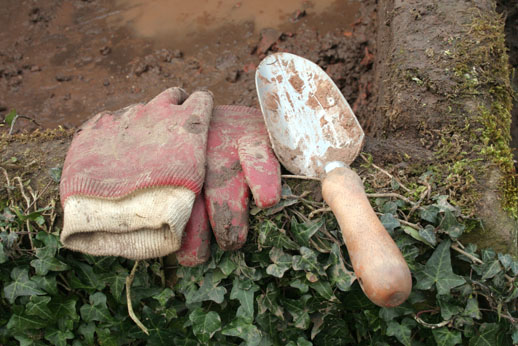 Photo of trowel next to garden gloves