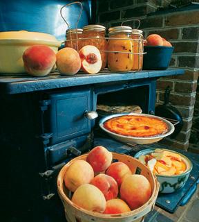 large peach harvest