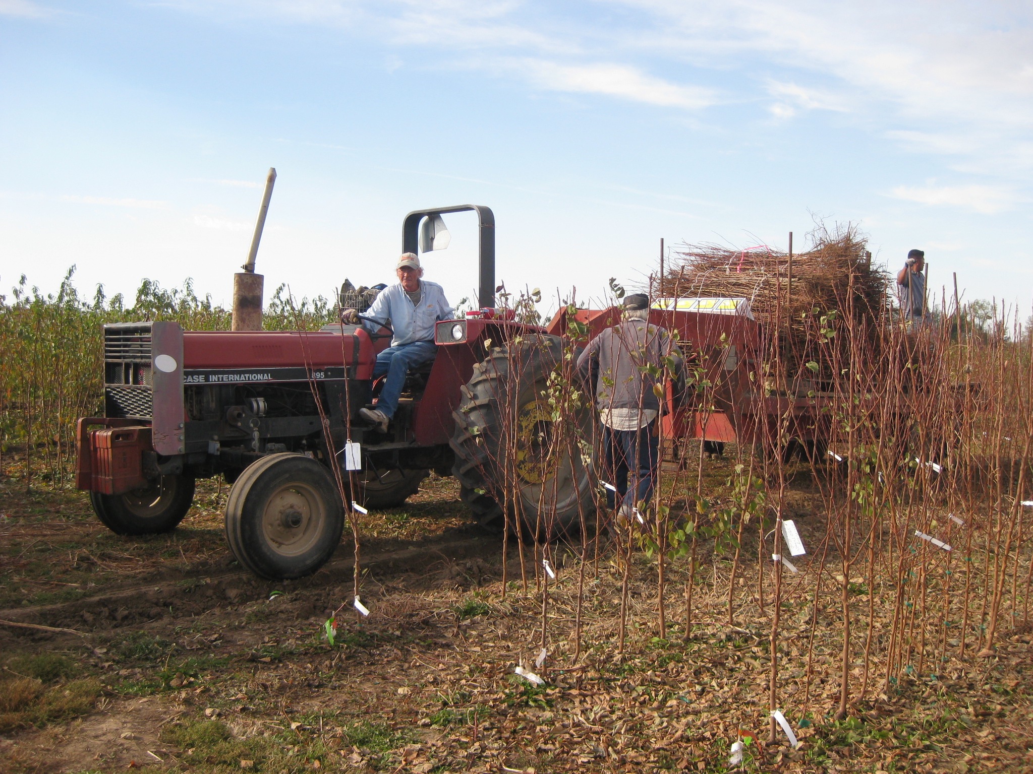 The End of A Long Journey Stark Bro's