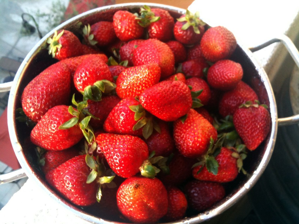 Colander of Strawberries