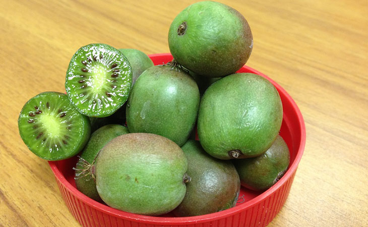 Bowl of Hardy Kiwi Fruit