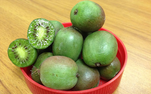Bowl of Hardy Kiwi Fruit