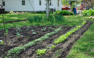 Growing History Victory Gardens Stark Bro S