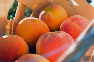 Basket of Peaches