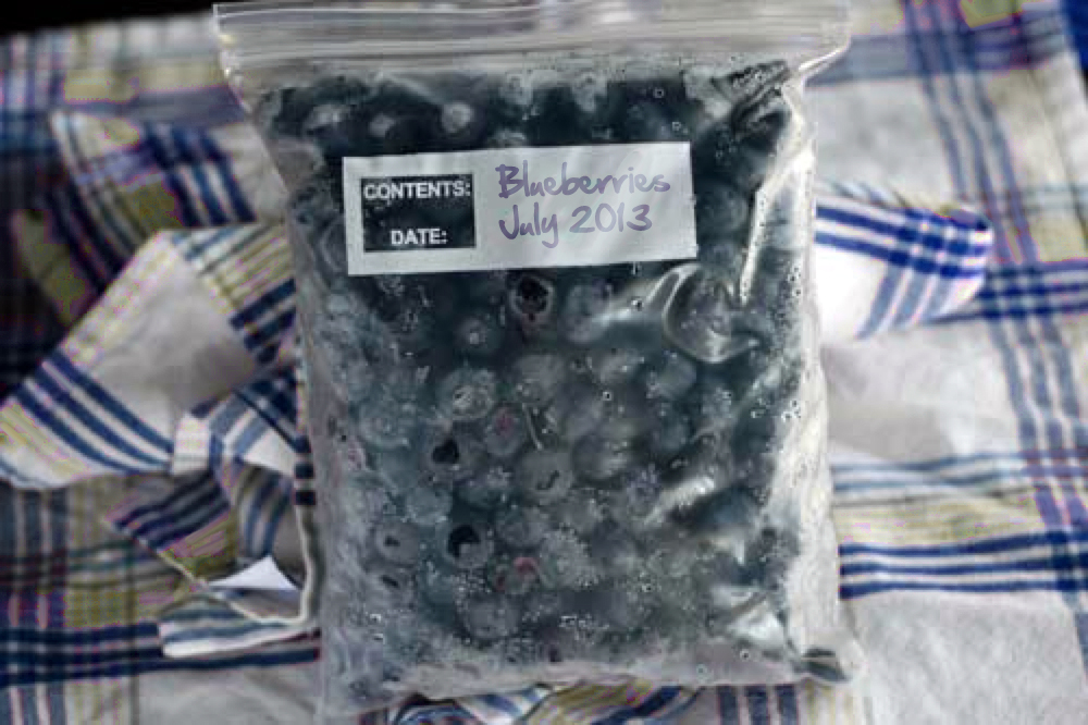 Frozen Blueberries with Date on Bag