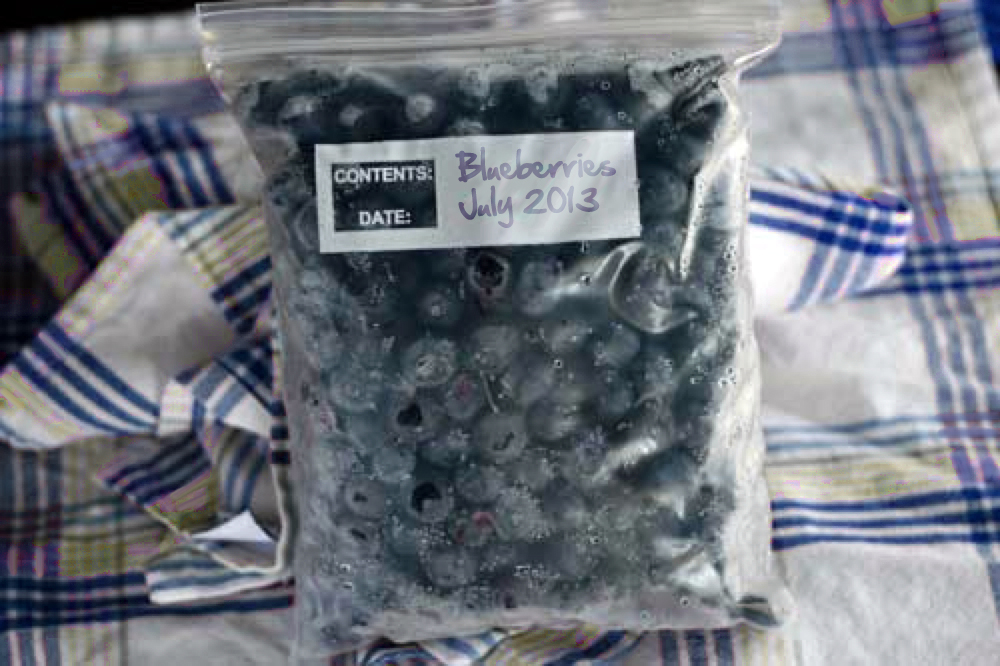 The Right Way to Freeze Blueberries Stark Bro's