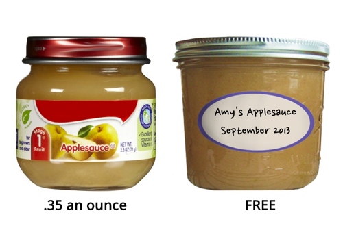 Apple Sauce Comparison (store bought vs. homemade)