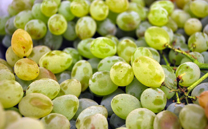 green grapes