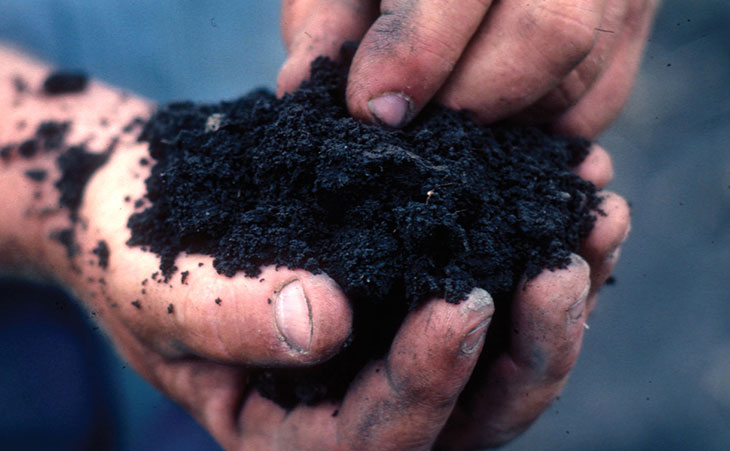 Palmful of good organic soil