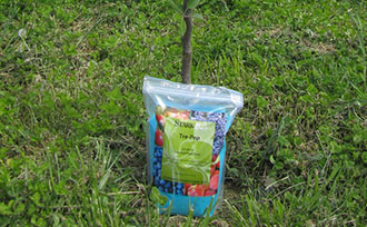 Fruit Tree Fertilizer Chart