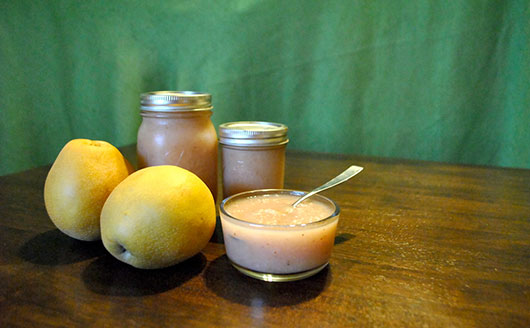 Asian Pear Sauce in a bowl next to fresh fruit