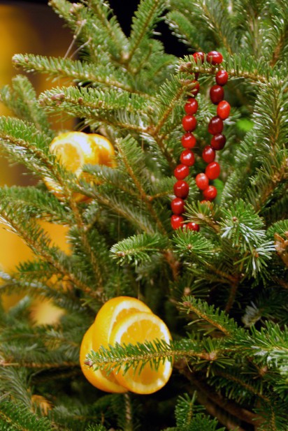 Decorate Christmas Trees with Food for Wildlife