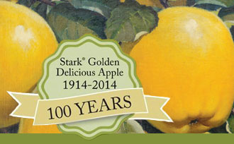 Illustration of Golden Delicious apple