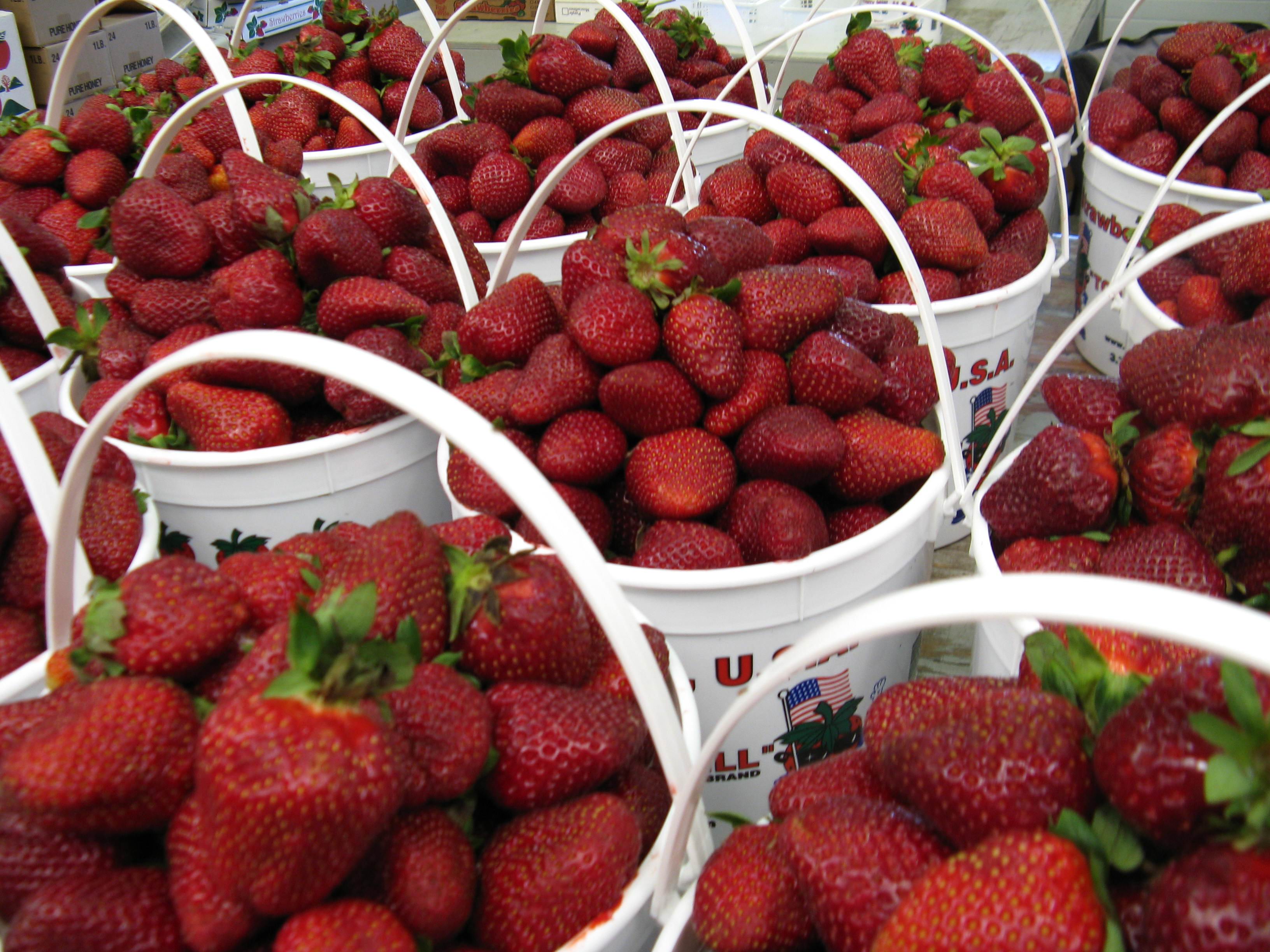 Garden Wines from Fruits & Berries Stark Bro's