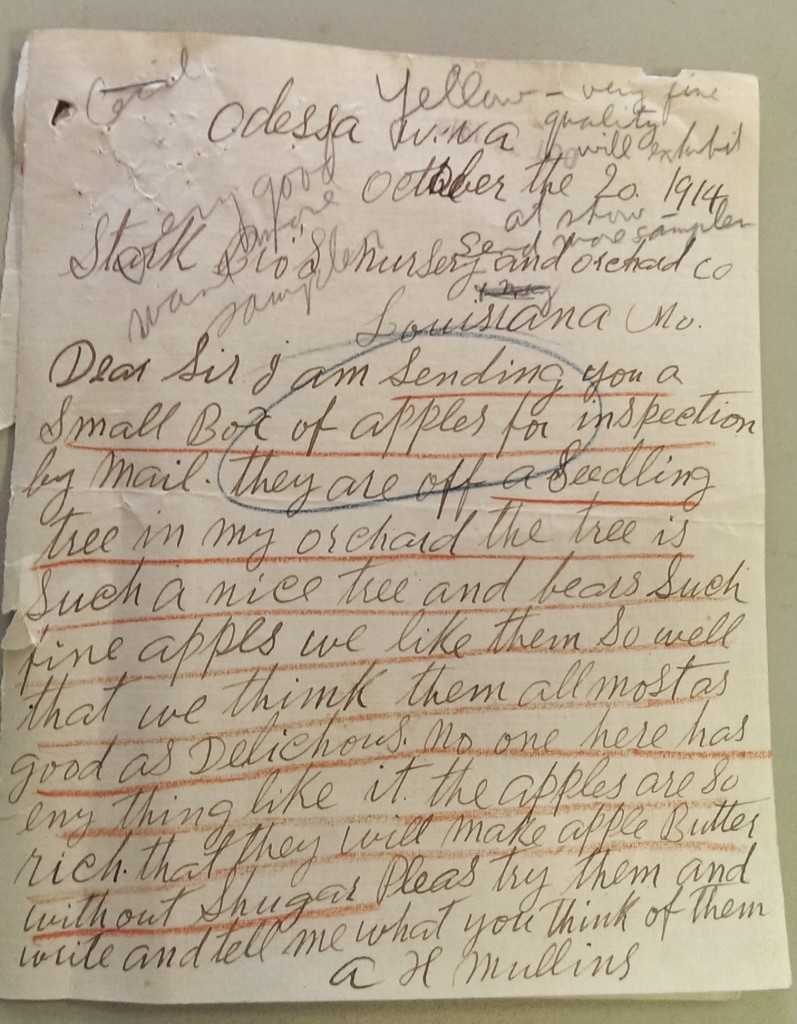 1914 Golden Delicious Letter to Stark Full