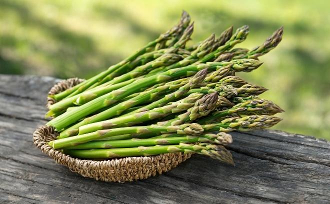 This image has an empty alt attribute; its file name is Asparagus_SM.jpg