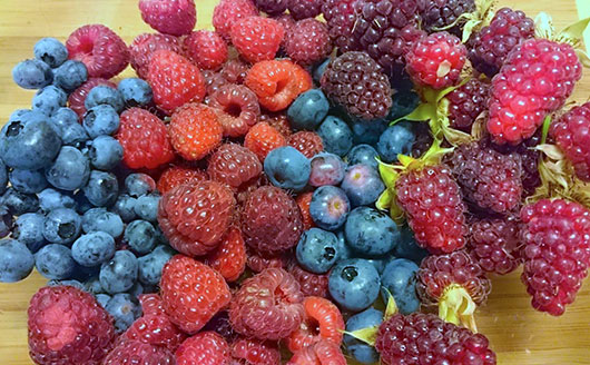 Assorted berries