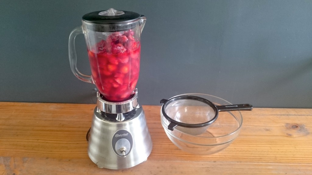 Strawberry Fruit Water Recipe Stark Bro's