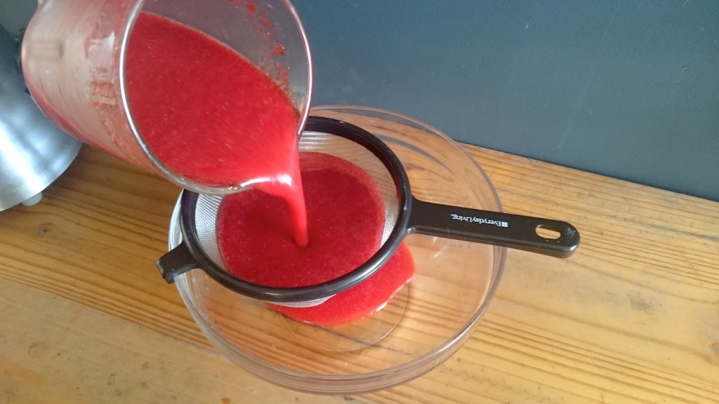 Strawberry Fruit Water Recipe Stark Bro's