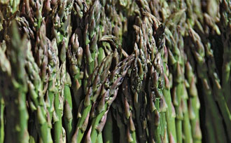asparagus