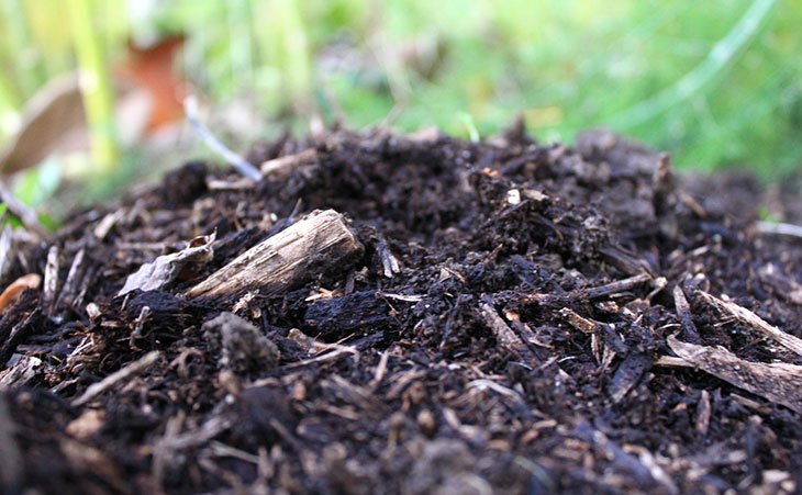 mound of soil