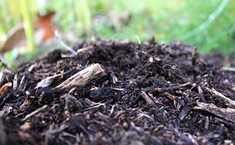 mound of soil