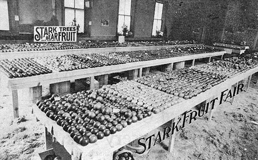 Vintage photo at the fruit fair