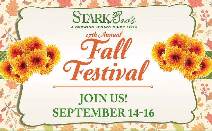 Banner for Fall Festival Event