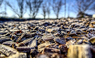 Mulch