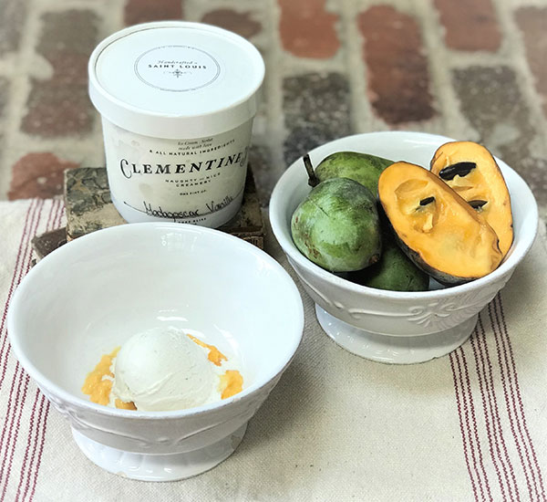 Ingredients for paw paw smoothie