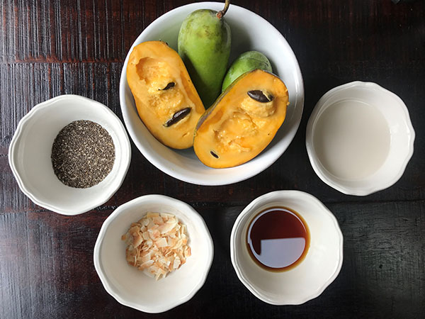 Ingredients for paw paw smoothie
