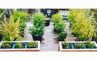 patio full of containers and plants