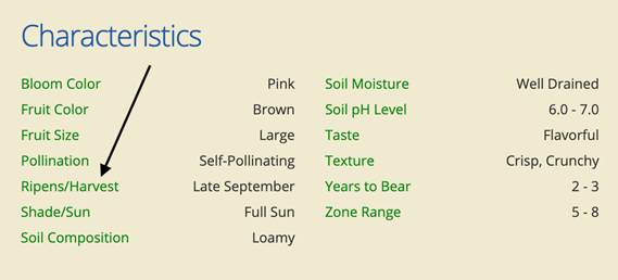 product characteristics