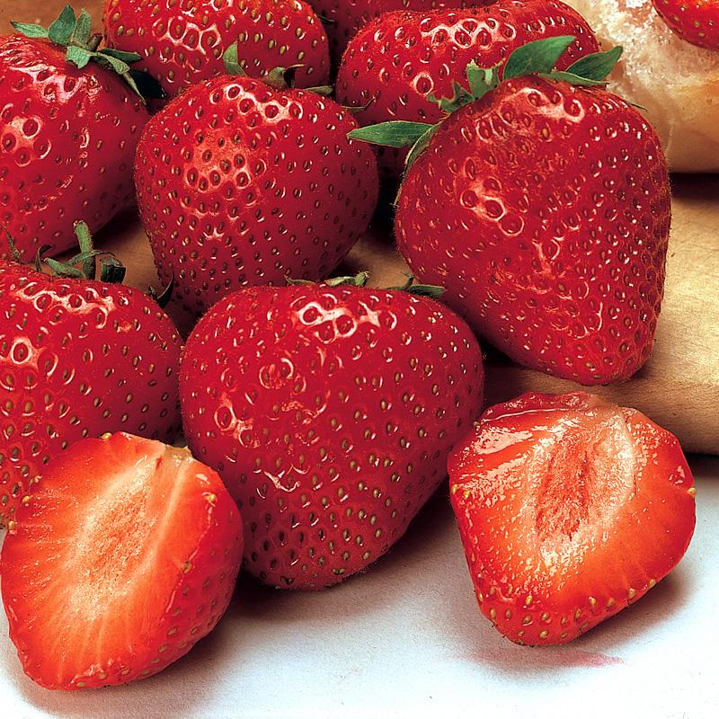 Beautifully red strawberries