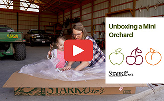 Unboxing fruit trees and berry plants from Stark Bro's