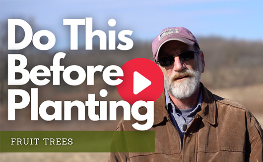 Do this Before Planting Fruit Trees - WATCH NOW