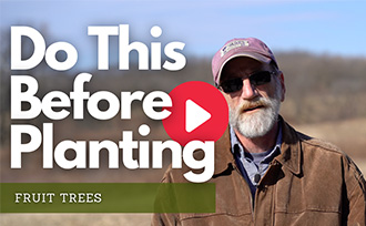 Do this Before Planting Fruit Trees - WATCH NOW