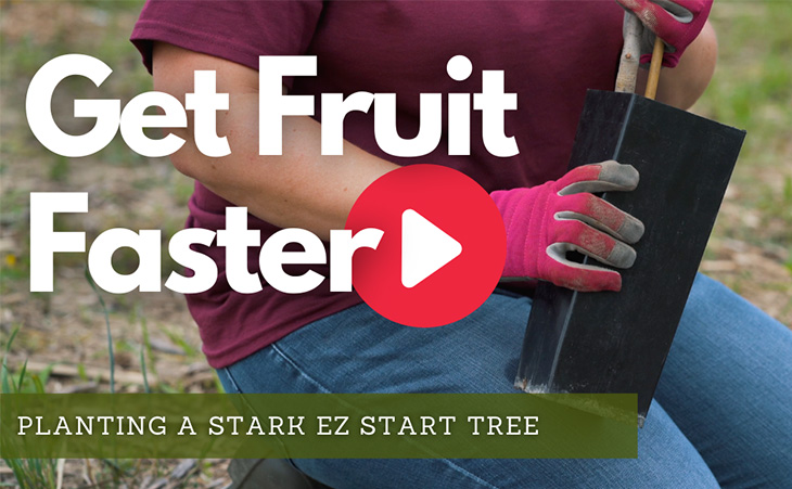 Get Fruit Faster - Watch Now!
