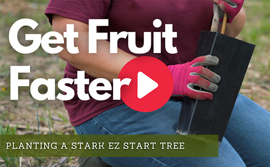 Get Fruit Faster - Watch Now!