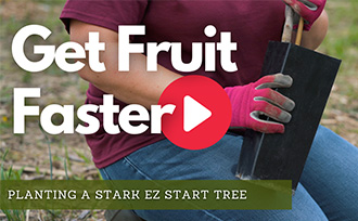 Get Fruit Faster - Watch Now!