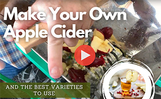 Make Your Own Apple Cider! WATCH NOW