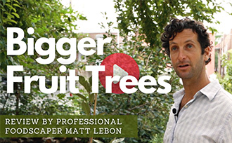 Our Biggest Fruit Trees Ever - WATCH NOW