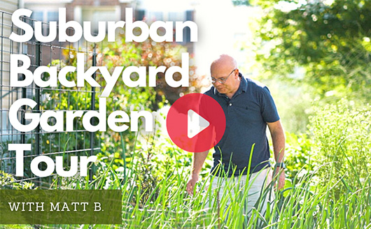 Matt in suburban backyard garden