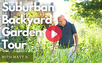 Matt in suburban backyard garden