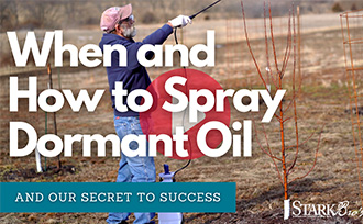 Man spraying tree with dormant oil - youtube thumbnail