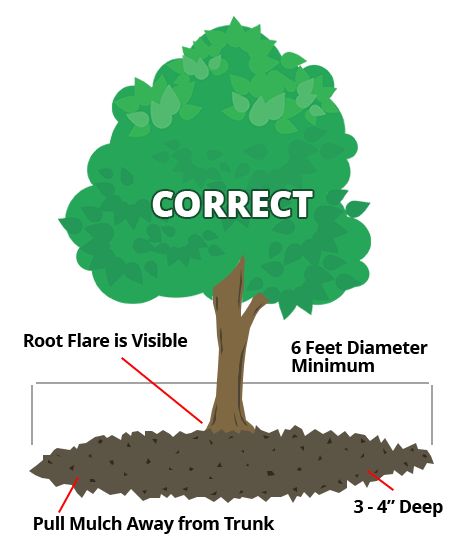 Organic Mulches - Stark Bro's