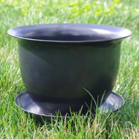 Photo of Camellia Biodegradable 9" Pot & Saucer