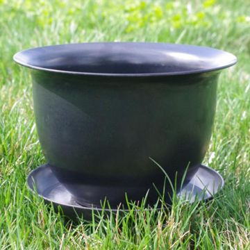 Photo of Camellia Biodegradable 9" Pot & Saucer